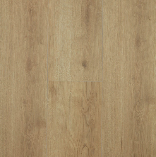 Oak Adaja