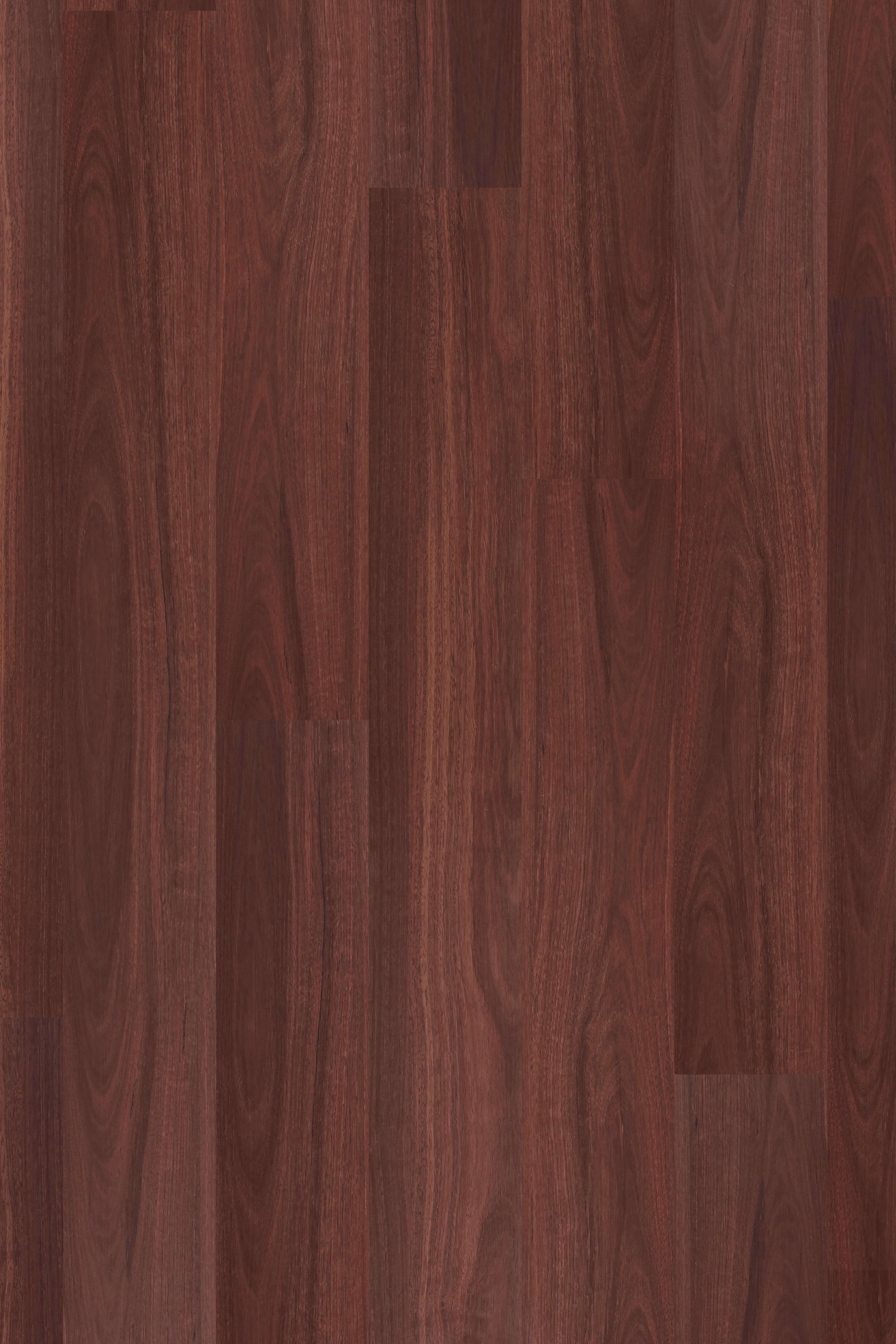 Jarrah