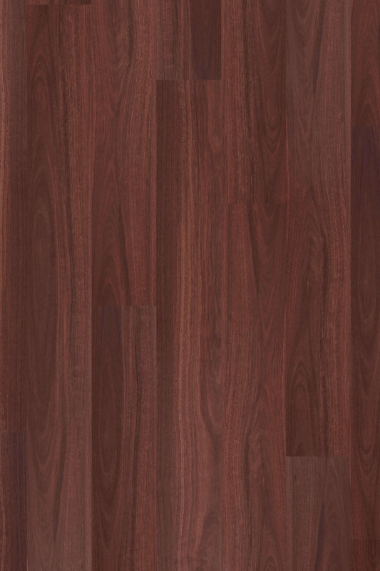 Jarrah