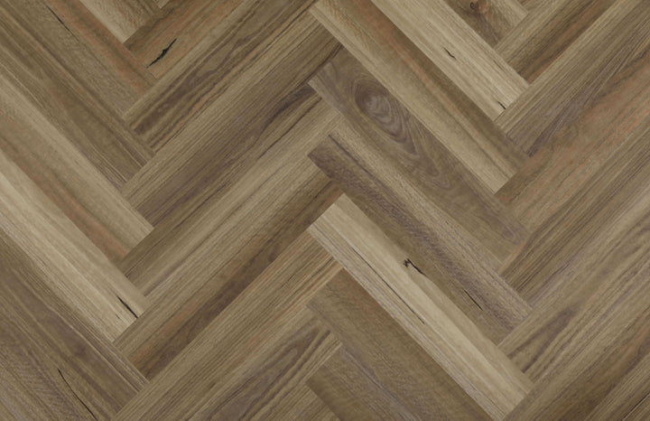 Spotted Gum