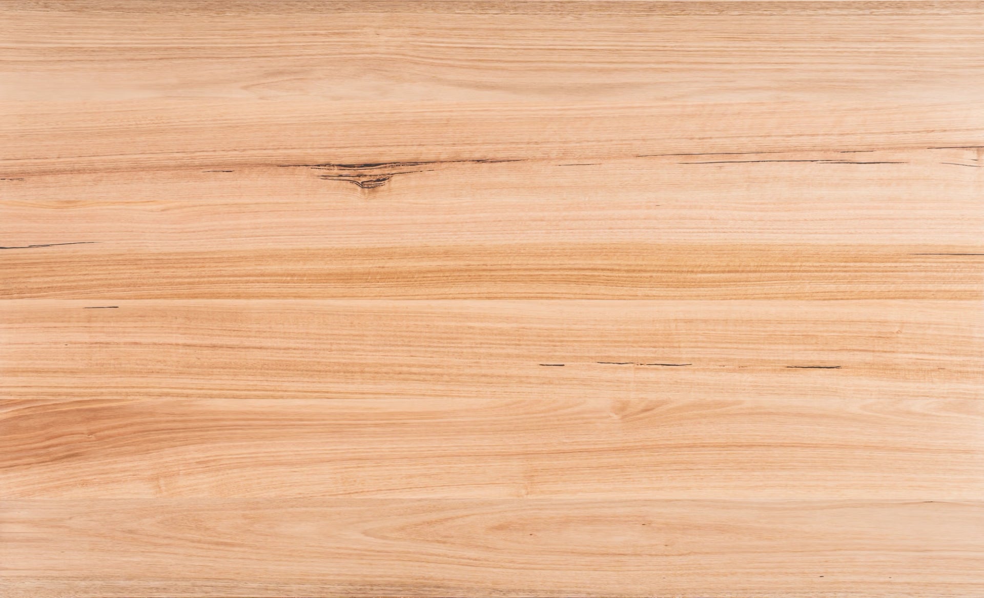 Tasmanian Oak