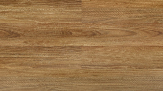 Spotted Gum