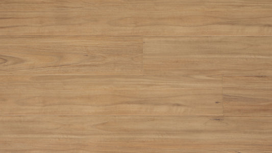Blackbutt