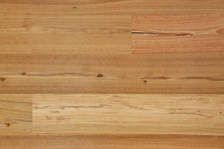 Spotted Gum Brushed