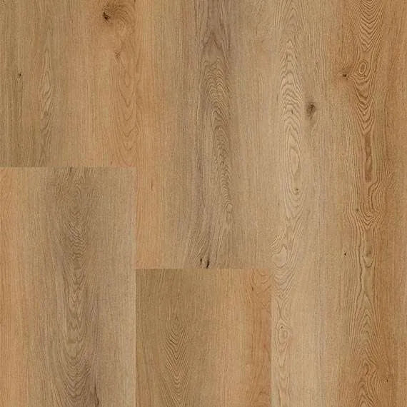 Oak Saffron