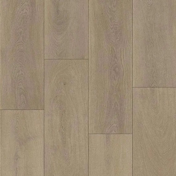 Oak Sofia