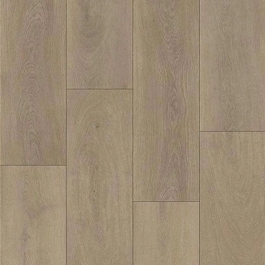 Oak Sofia