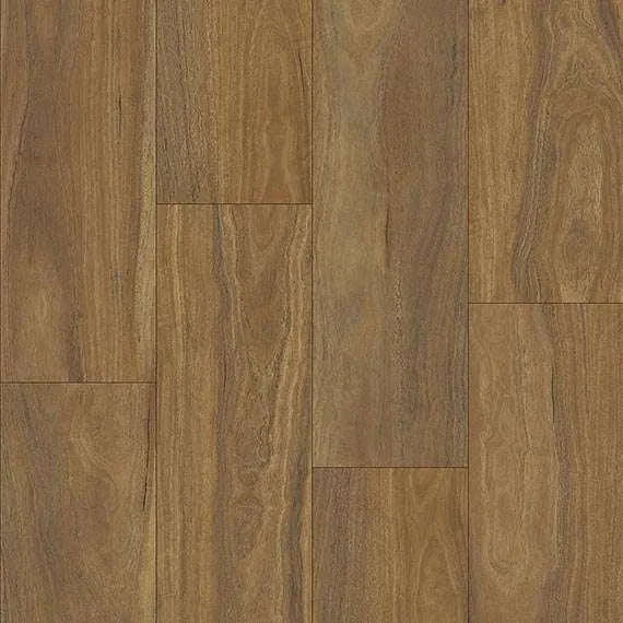 Spotted Gum