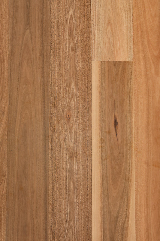 Spotted Gum 190mm wide