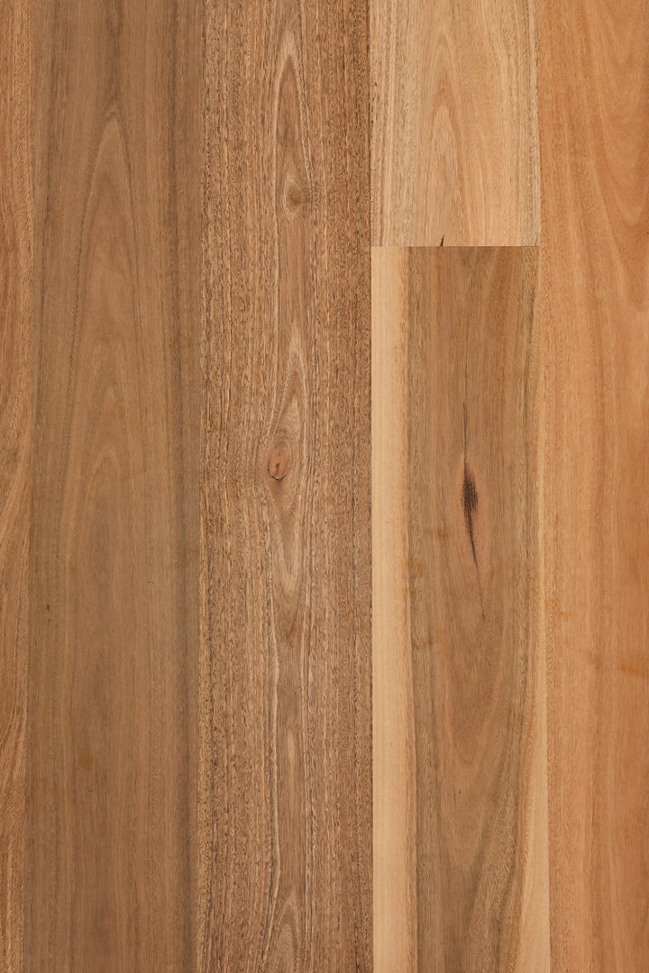 Spotted Gum 136mm wide