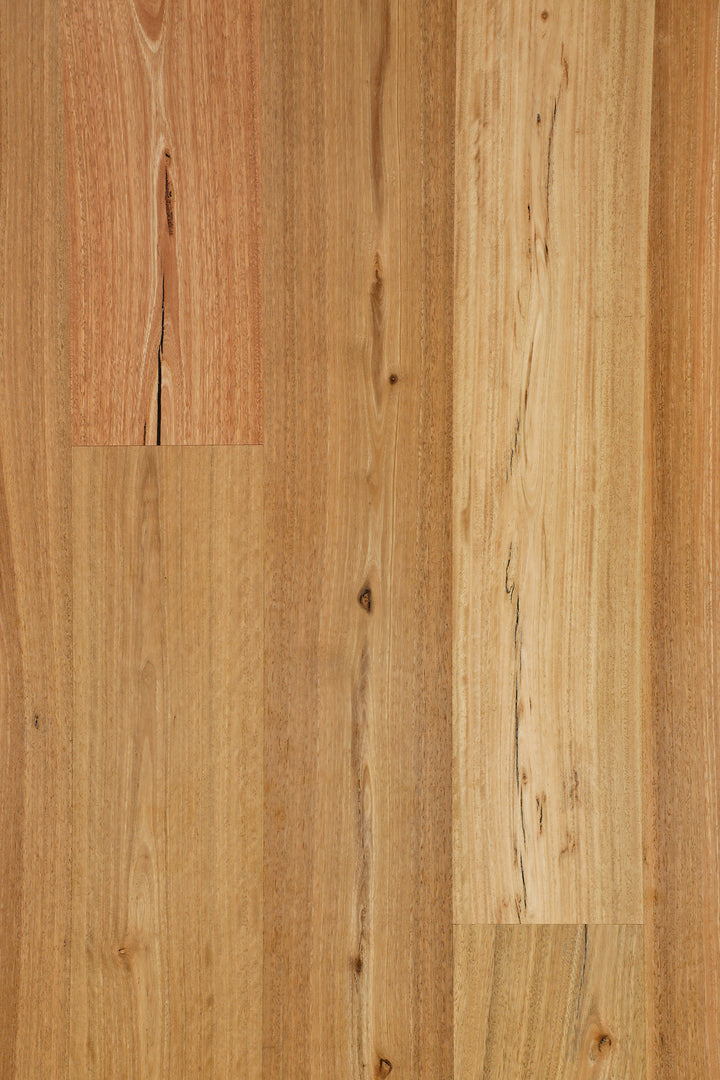 Spotted Gum 190mm Rustic
