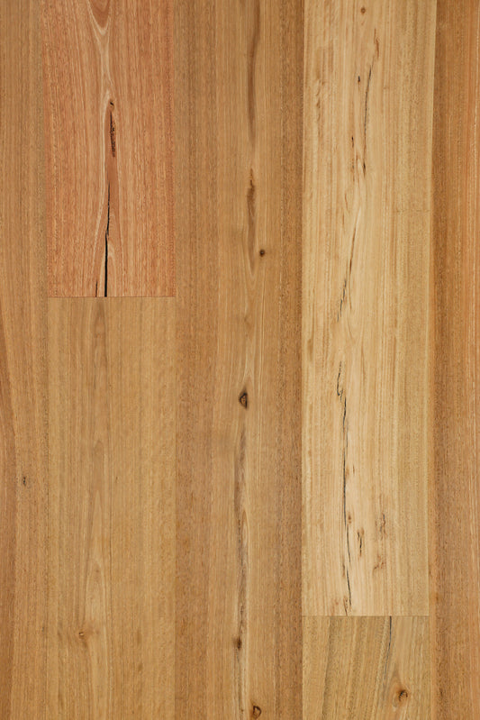 Spotted Gum 136mm Rustic