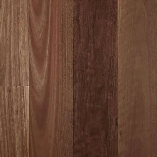 Spotted Gum