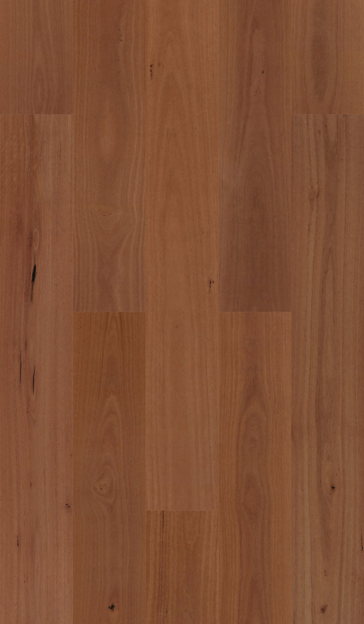 Sydney Blue Gum 190mm wide