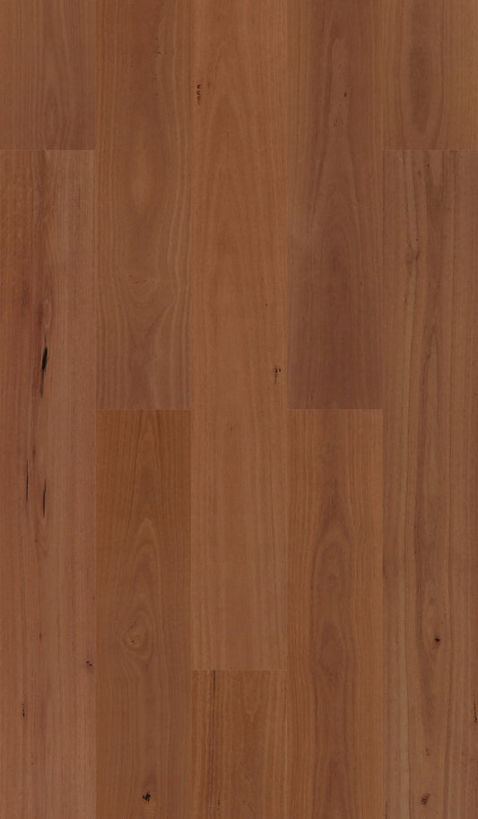 Sydney Blue Gum 190mm wide