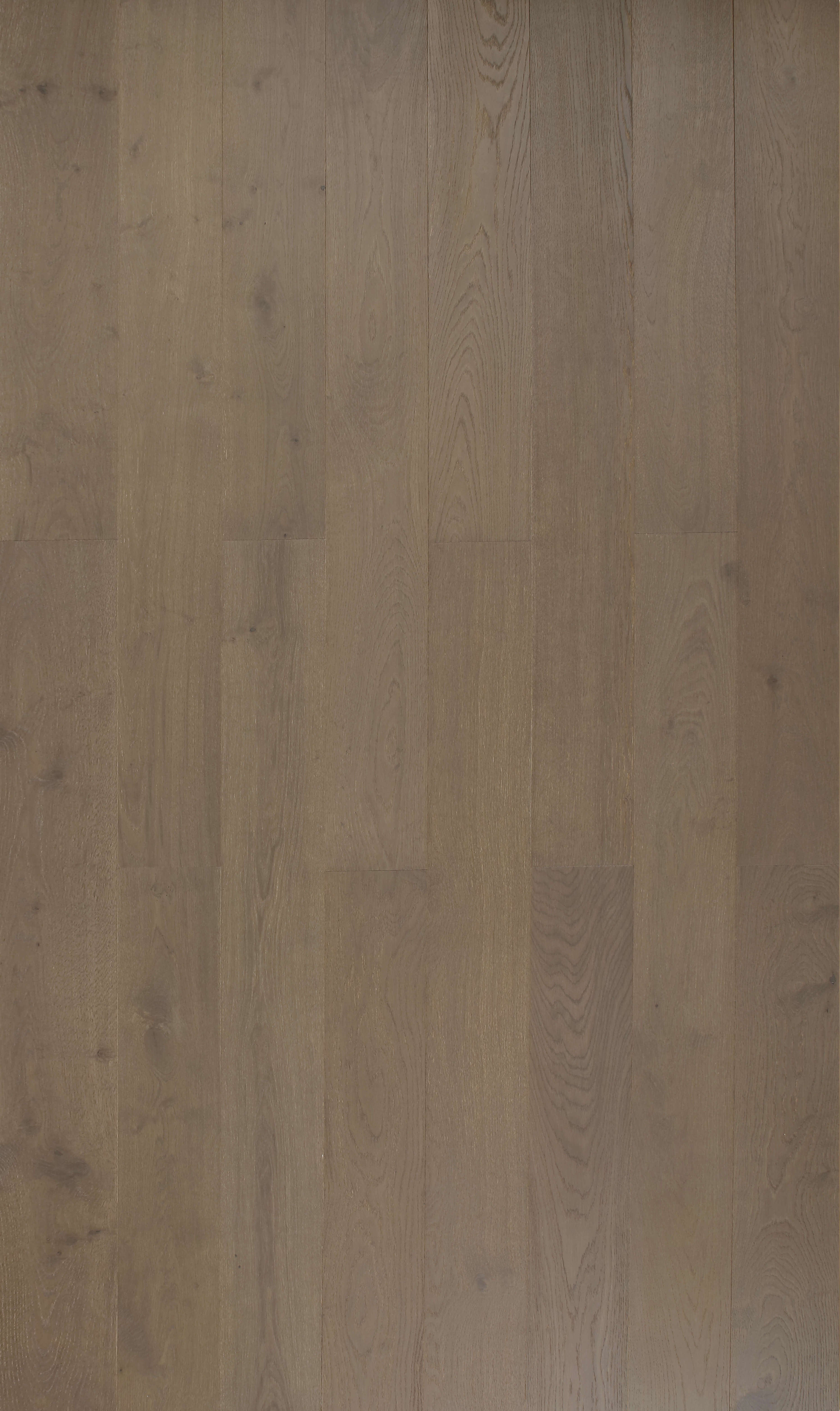 MARRONE OAK