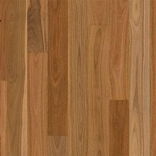 Matt Brushed NSW Spotted Gum 1 Strip