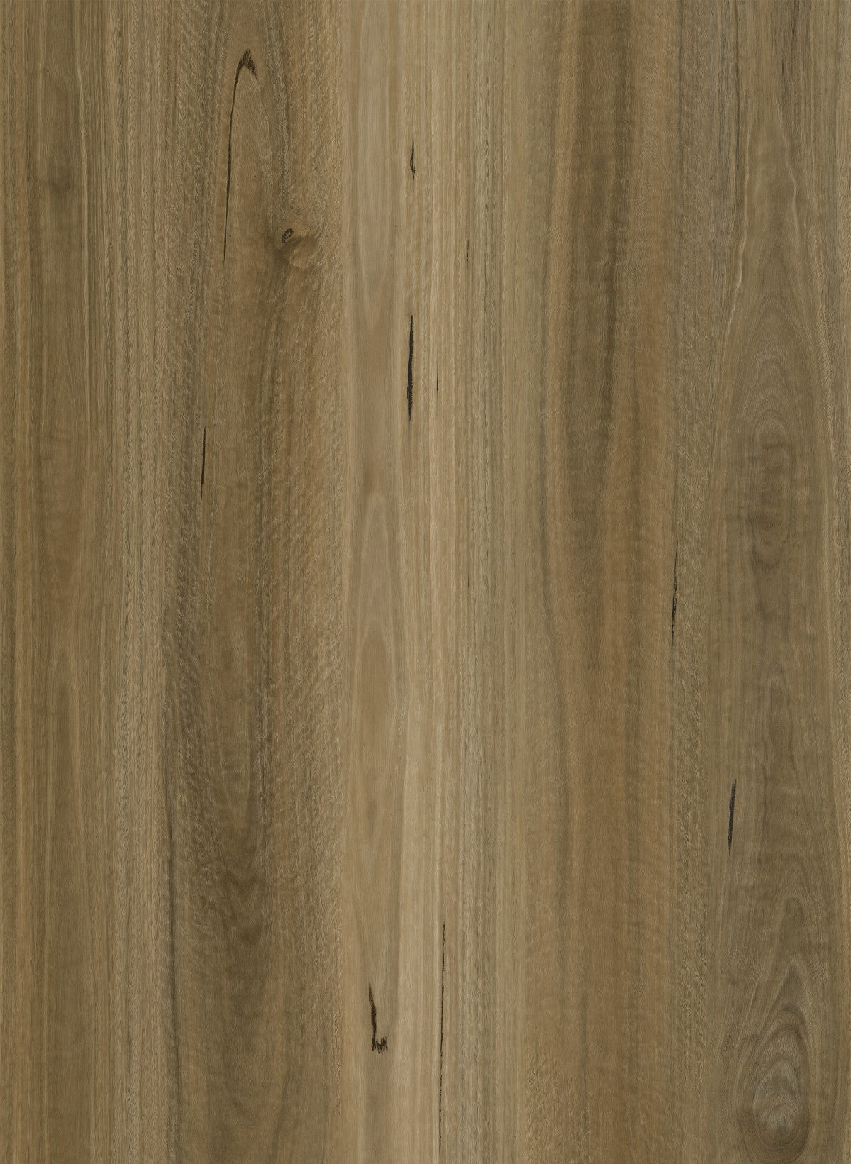 Raw Spotted Gum 7.5