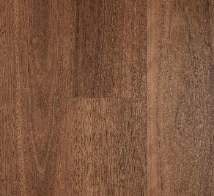 Spotted Gum