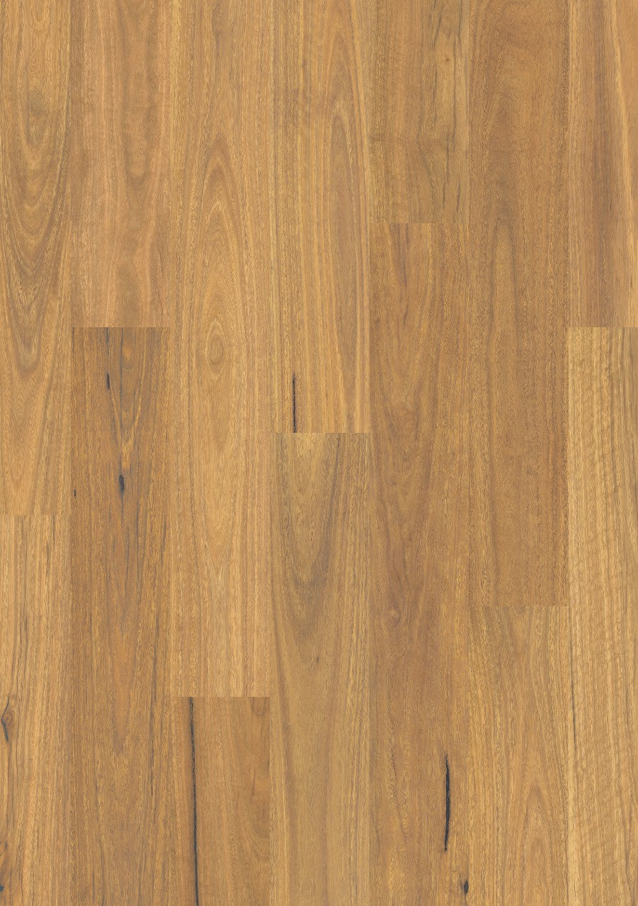 Pure spotted gum