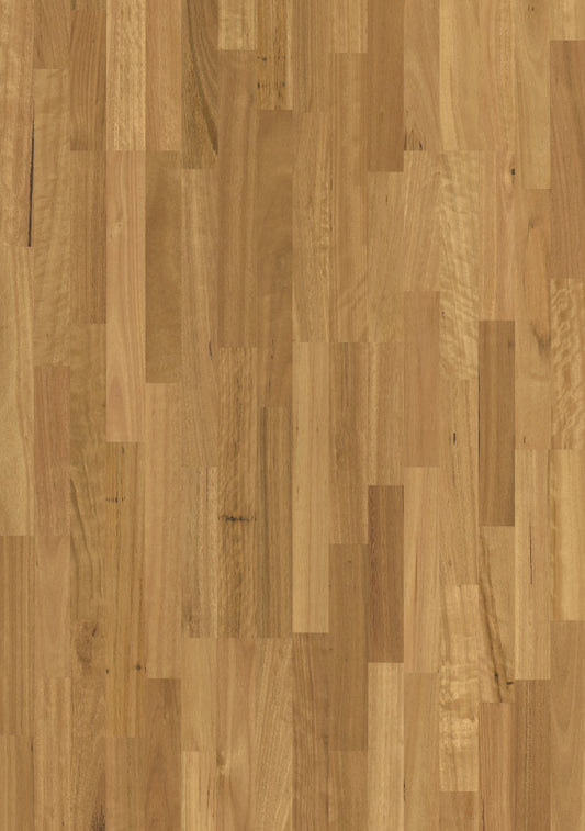 Blackbutt 3S M