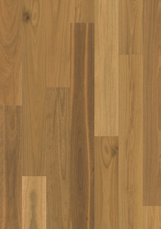 Spotted Gum 1 strip Matt