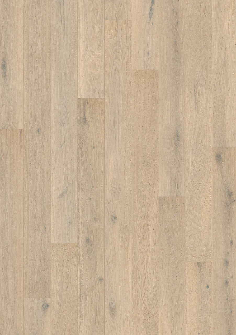 Creamy White Oak Extra Matt