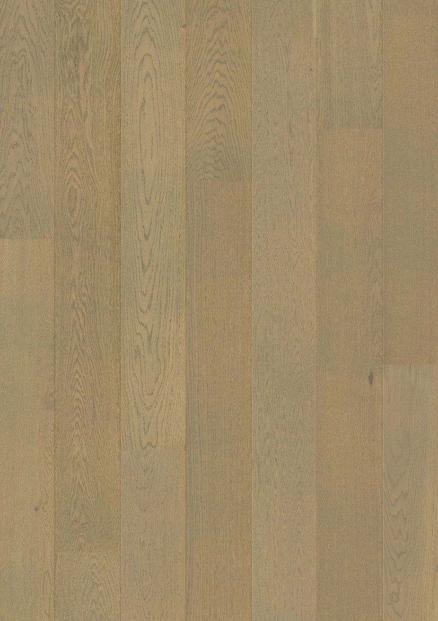 Fossil Oak Extra Matt