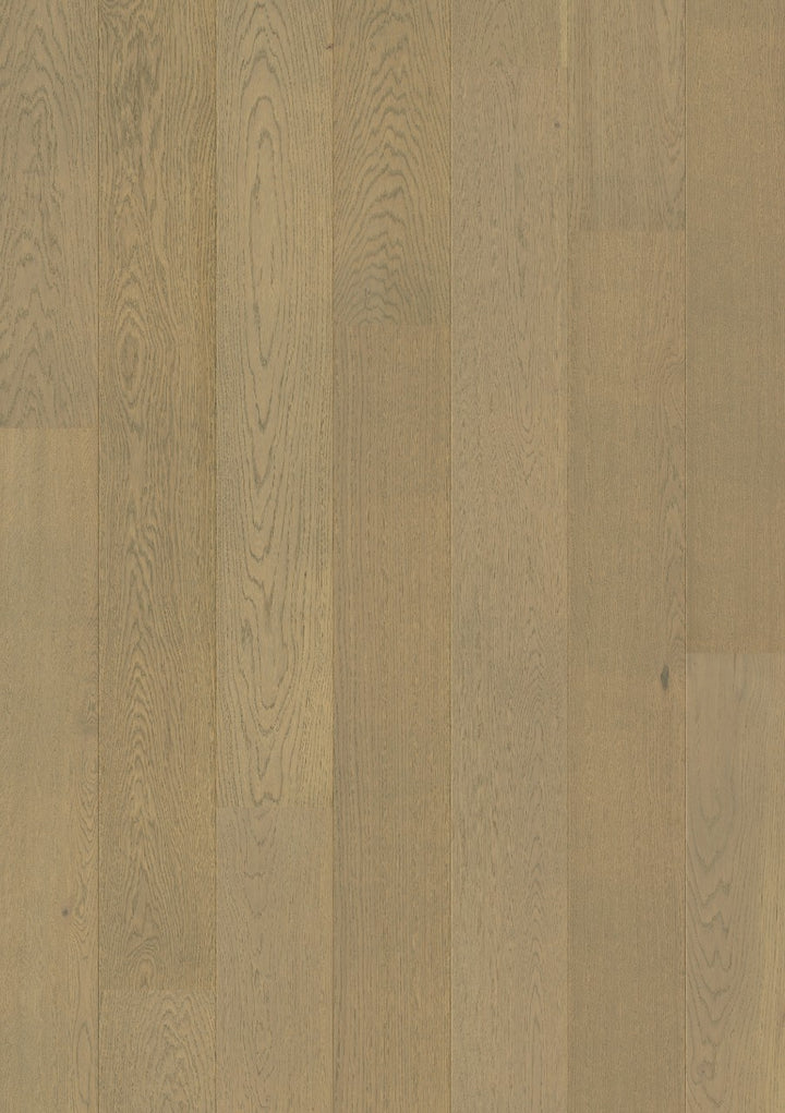 Fossil Oak Extra Matt