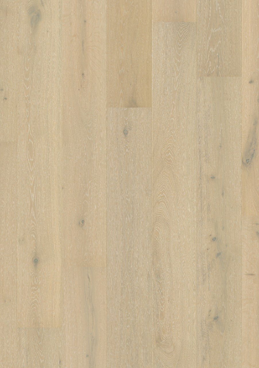 Frozen Oak Extra Matt