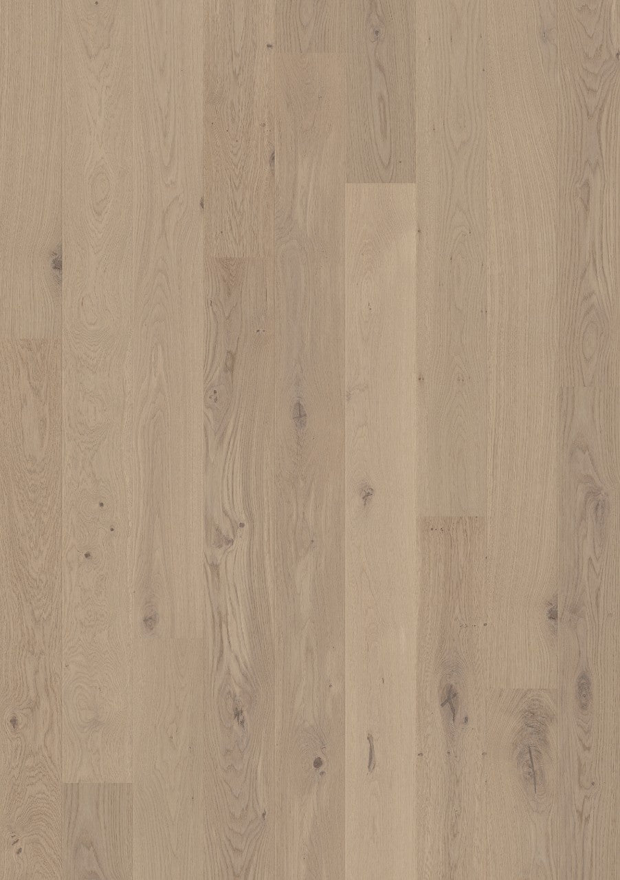 Cliff grey oak extra matt