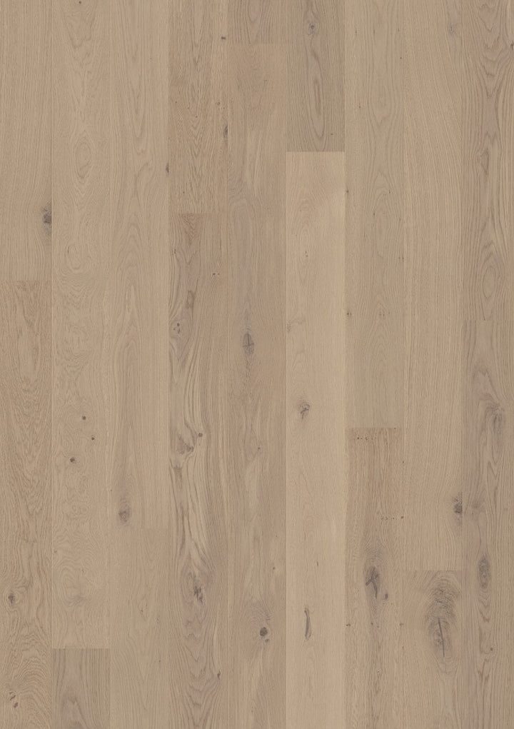Cliff grey oak extra matt