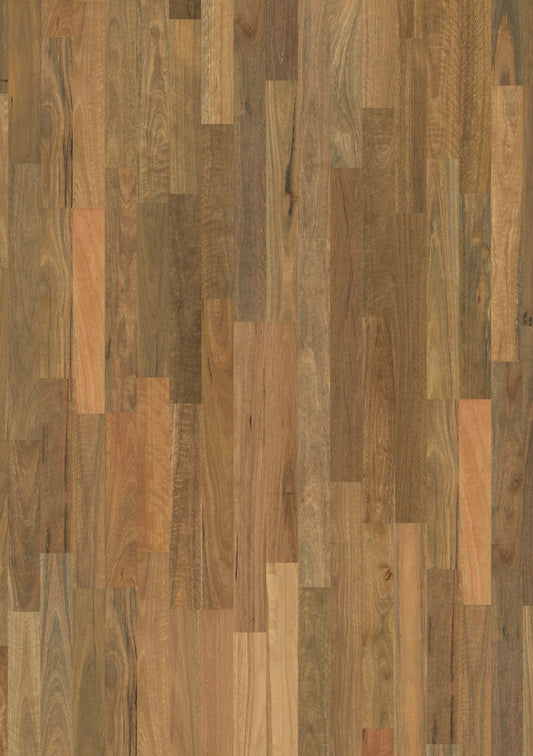 Brushed Spotted Gum 2S M
