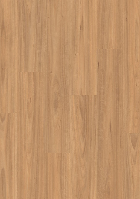 Classic Blackbutt Light