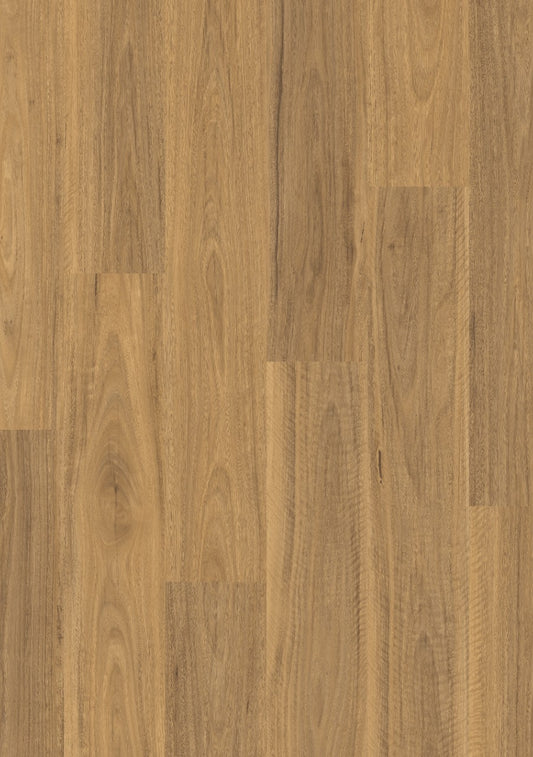 Classic Spotted Gum Light