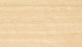 Silvertop Stringybark