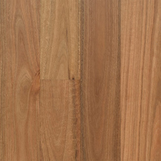 Spotted Gum (136mm)