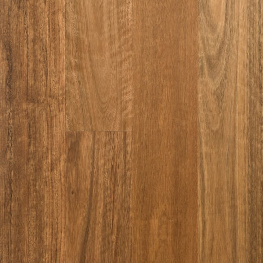 Spotted Gum (1860mm x 14mm)