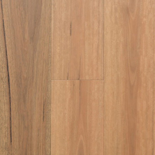Spotted Gum 189mm