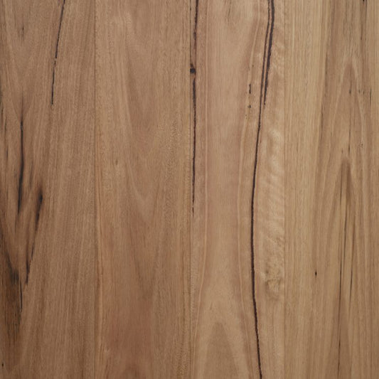 Authentic Blackbutt (136mm)