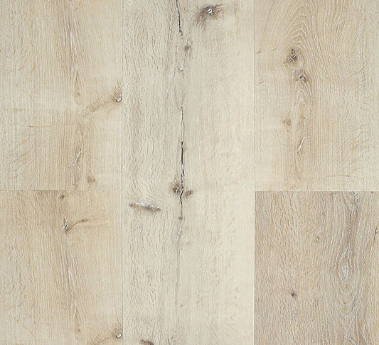 Hydroplank Coney Island