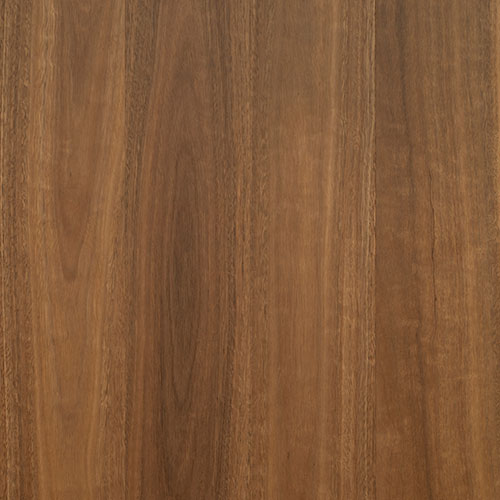 Spotted Gum (1860mm x 12mm)