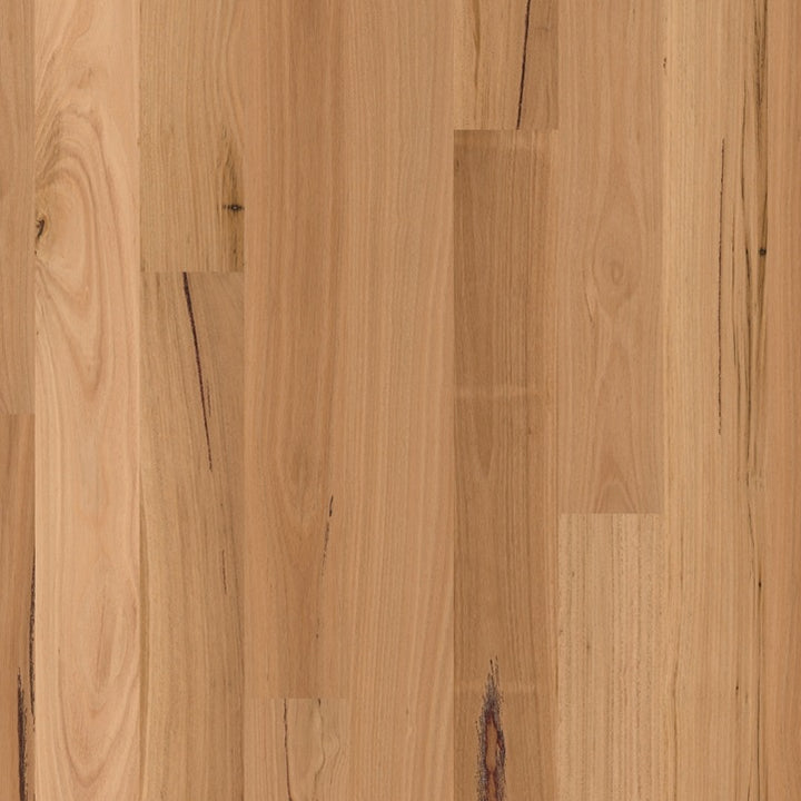 Readyflor Blackbutt 1 Strip