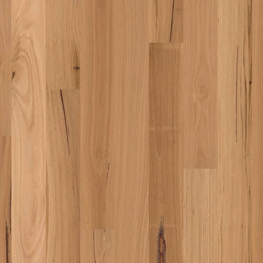 Readyflor Blackbutt 1 Strip