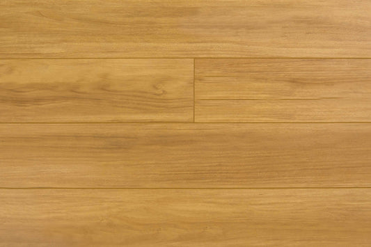 New England Blackbutt