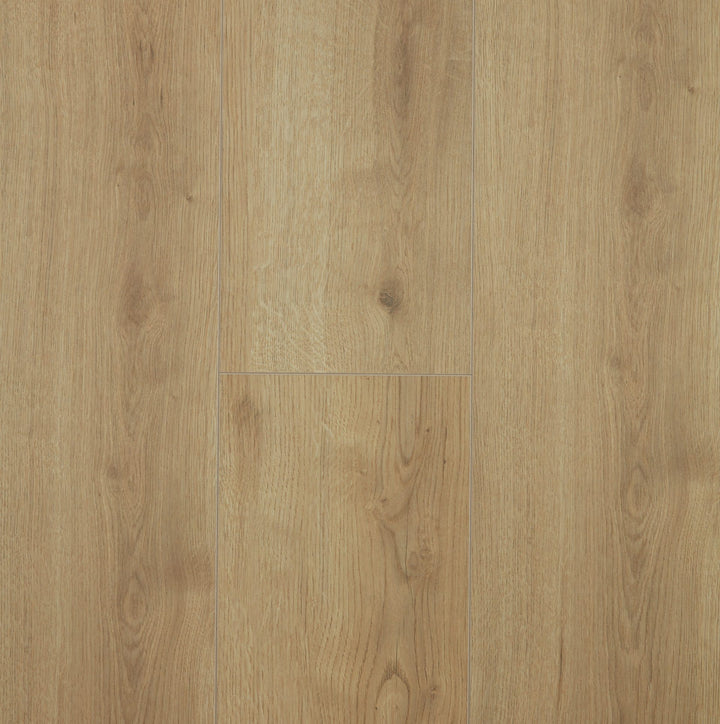 Oak Adaja