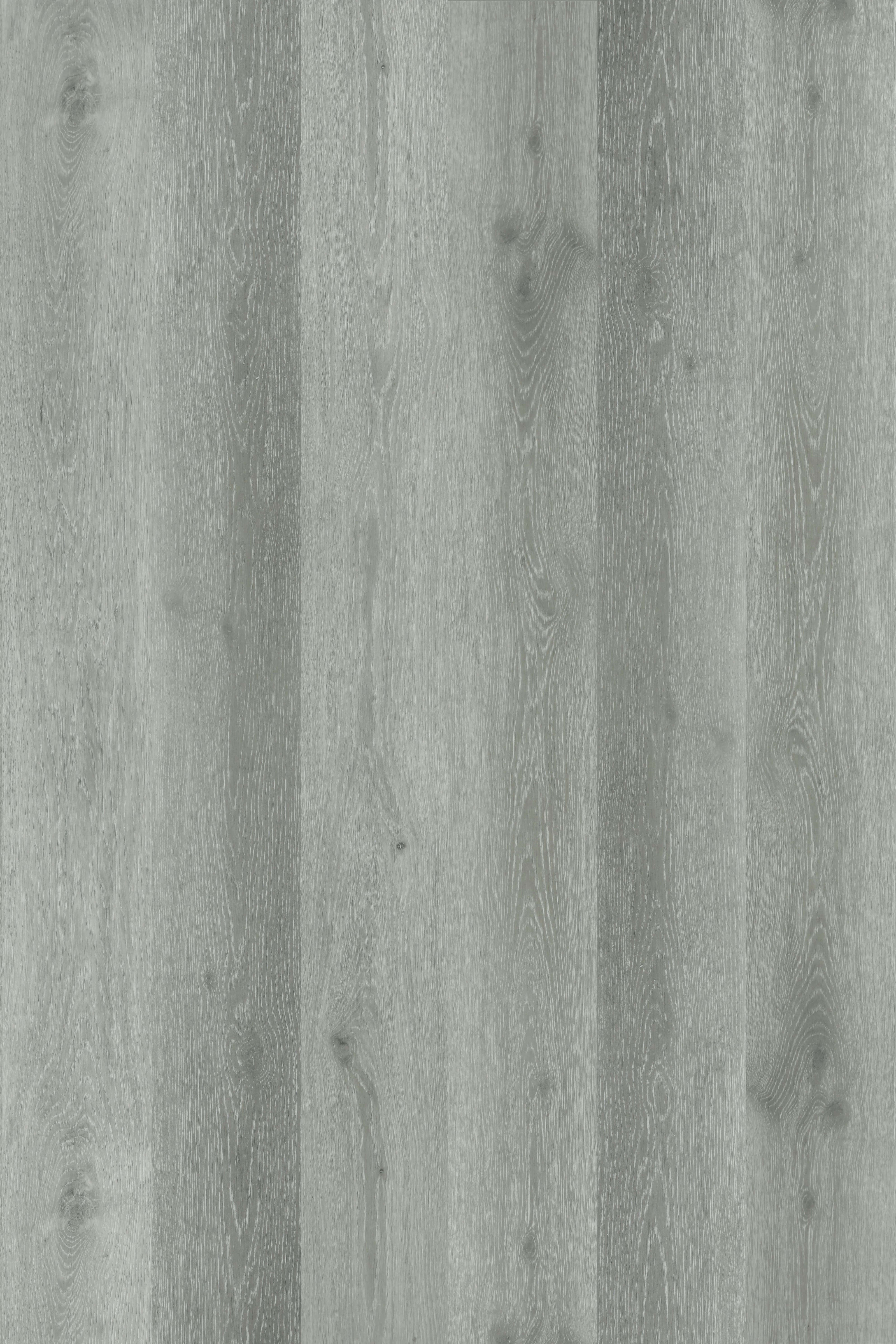 Orchid Ash