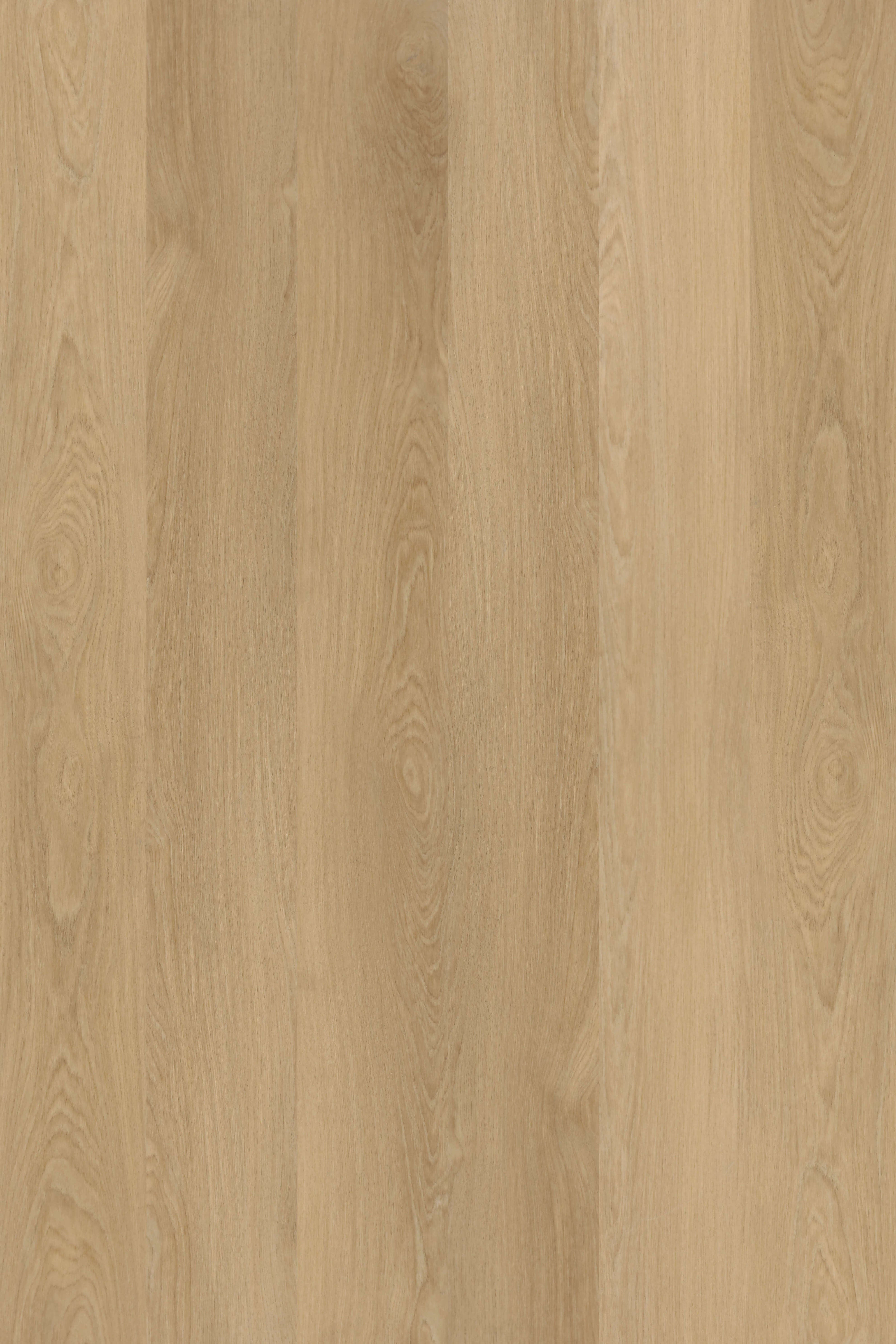 Coastal Beige
