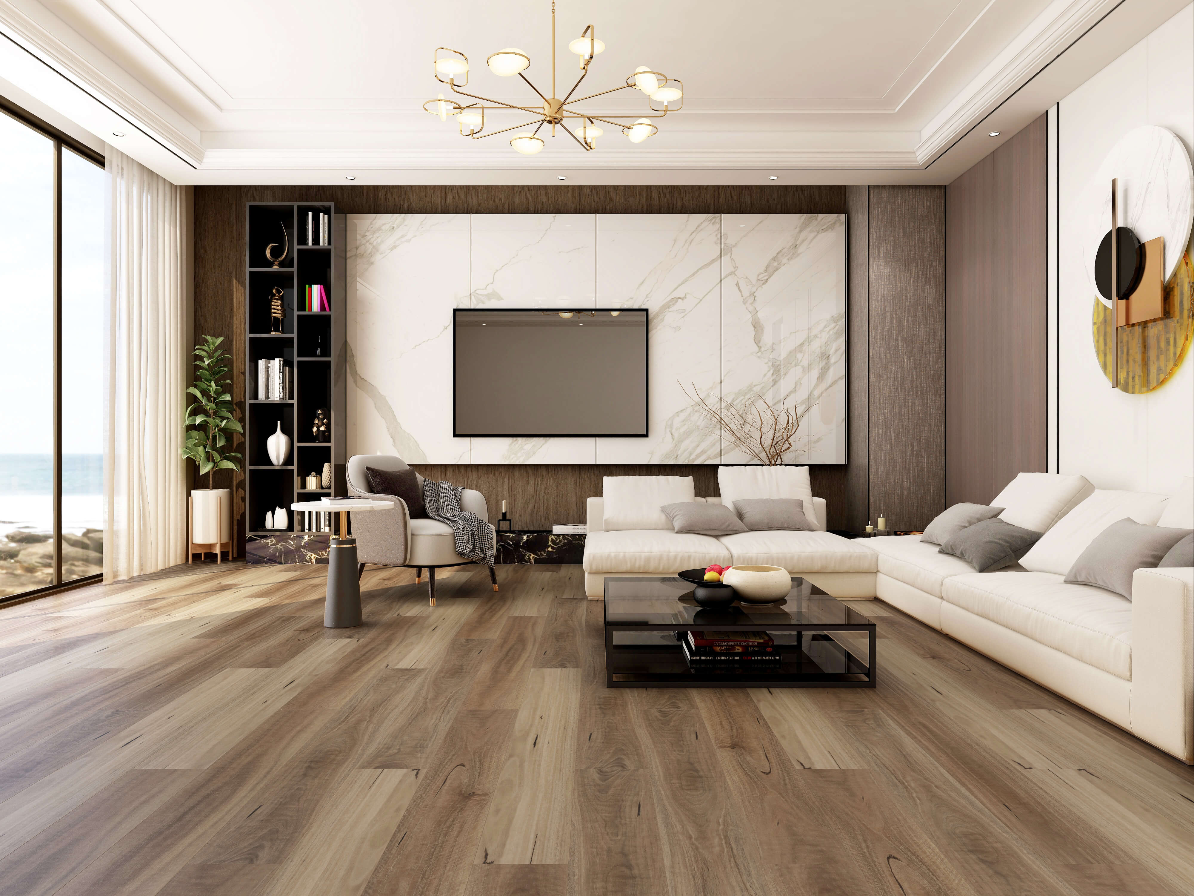 Spotted Gum