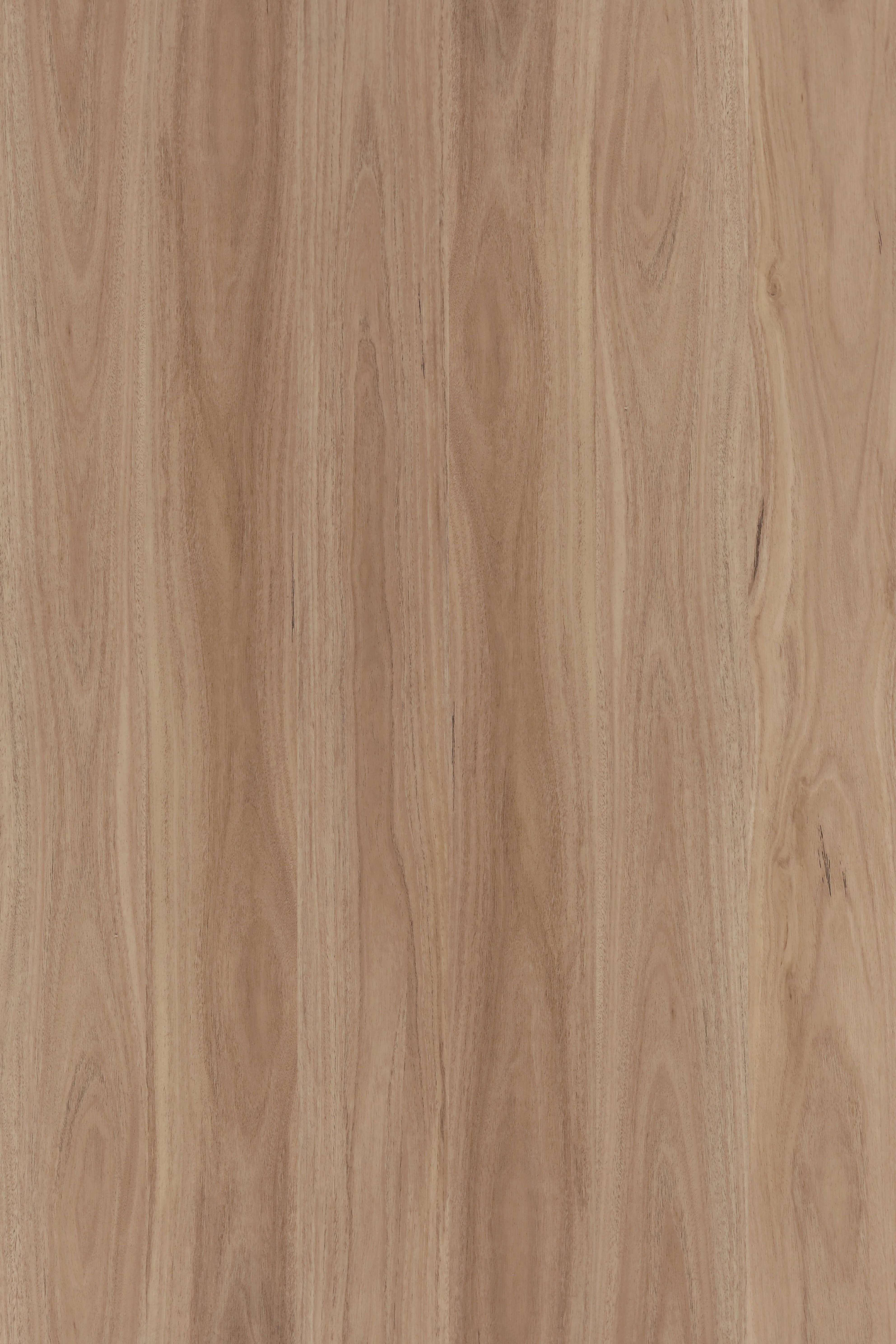 Blackbutt